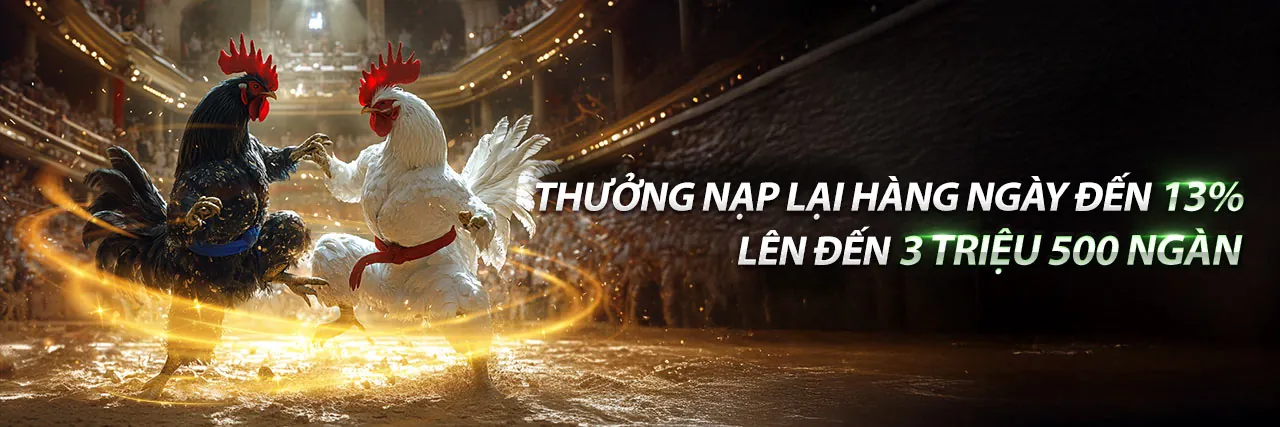 Hình ảnh chính R98 Link Vào - Nền tảng cá cược trực tuyến hàng đầu