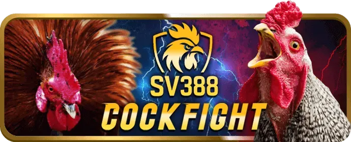 Trò Chơi Đá Gà R98